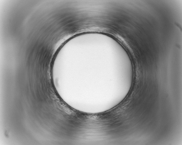 X0000100211230200806271657
