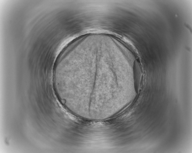 X0000100211231200806271657