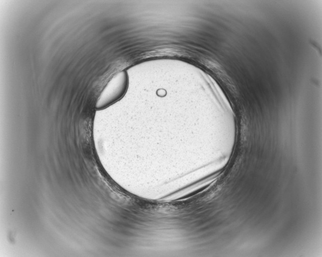 X0000100211233200806271657