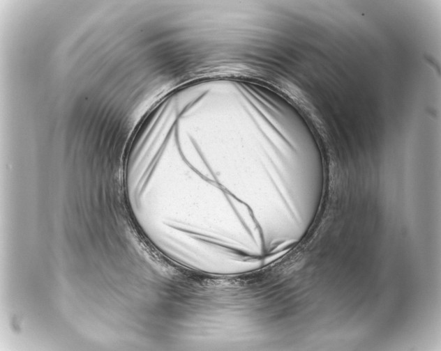 X0000100211234200806271657