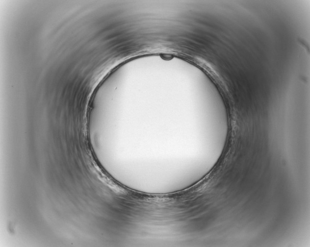 X0000100211236200806271657