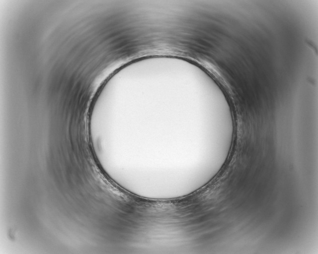 X0000100211238200806271657
