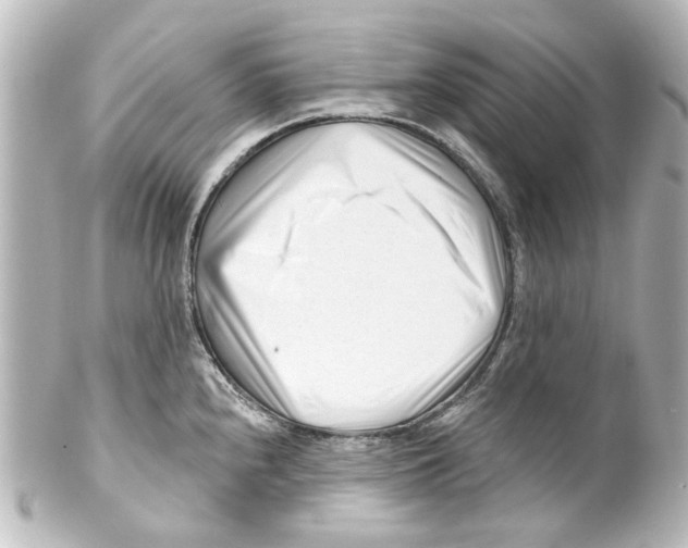 X0000100211240200806271657