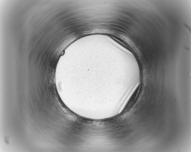 X0000100211241200806271657