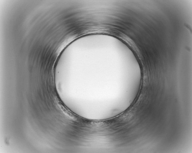 X0000100211242200806271657
