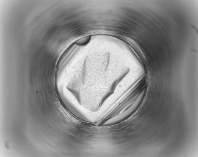 X0000100211244200806271657