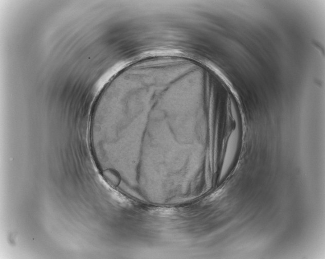 X0000100211245200806271657
