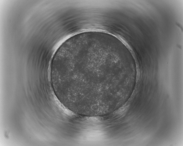 X0000100211246200806271657