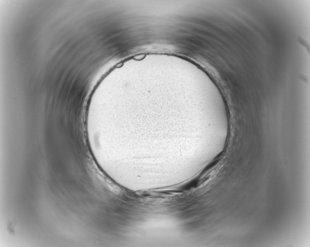 X0000100211248200806271657