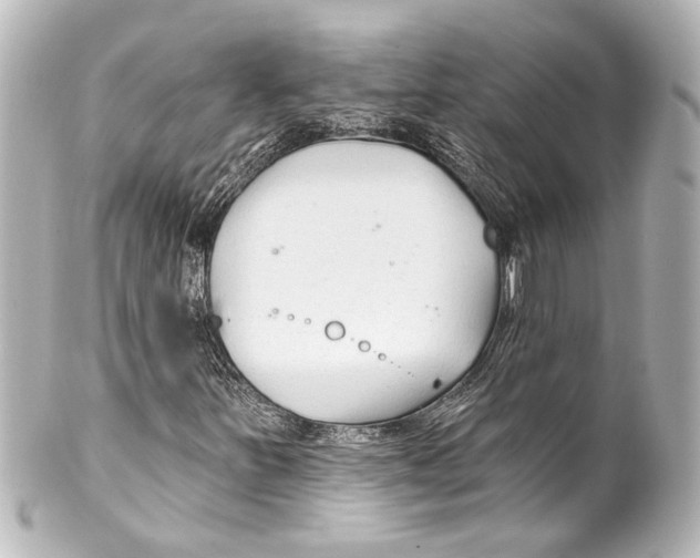 X0000100211251200806271656