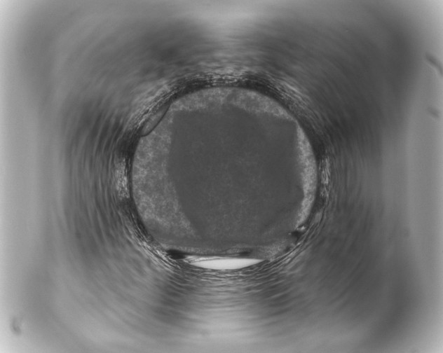 X0000100211252200806271656