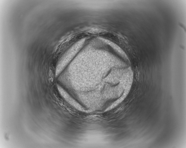 X0000100211253200806271656