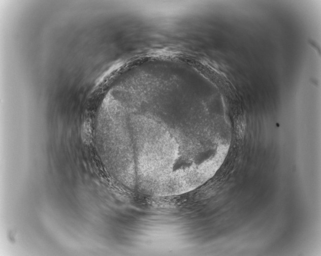 X0000100211254200806271656