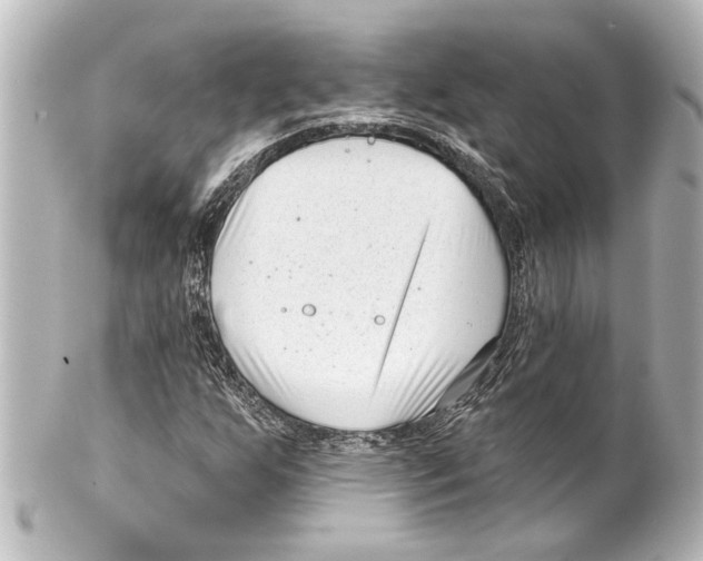X0000100211255200806271656
