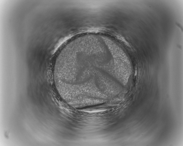 X0000100211256200806271656