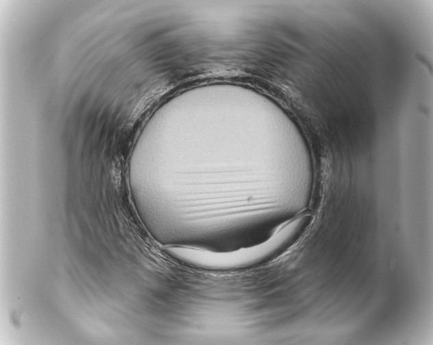 X0000100211257200806271656