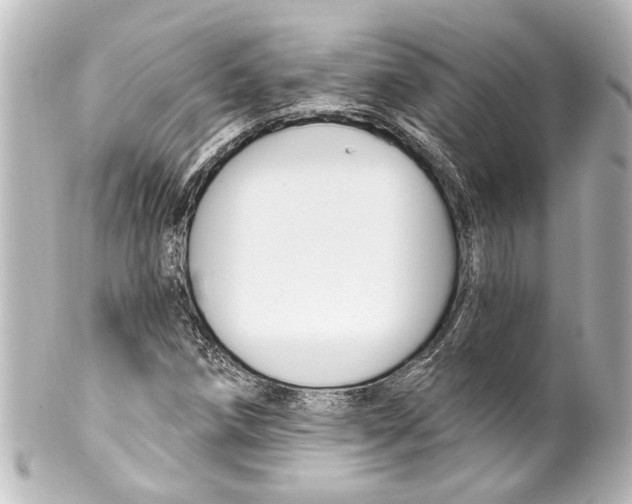 X0000100211258200806271656