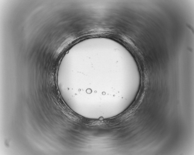 X0000100211259200806271656