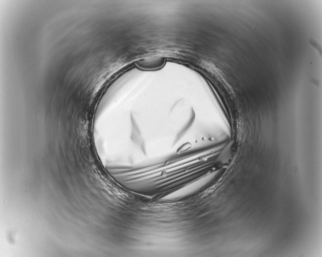 X0000100211260200806271656