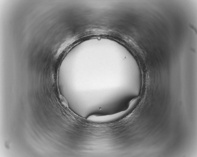 X0000100211261200806271656