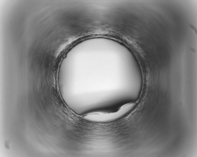 X0000100211262200806271656