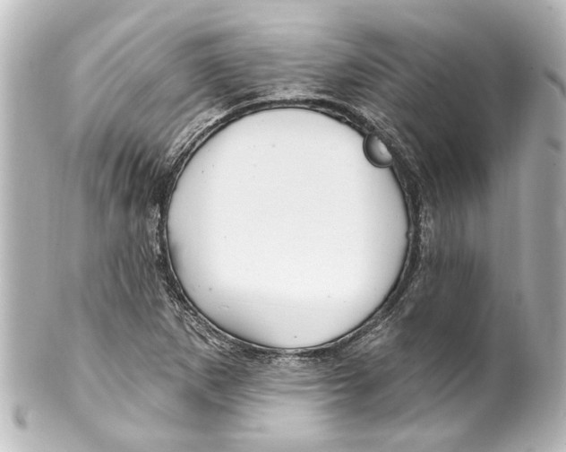 X0000100211265200806271656