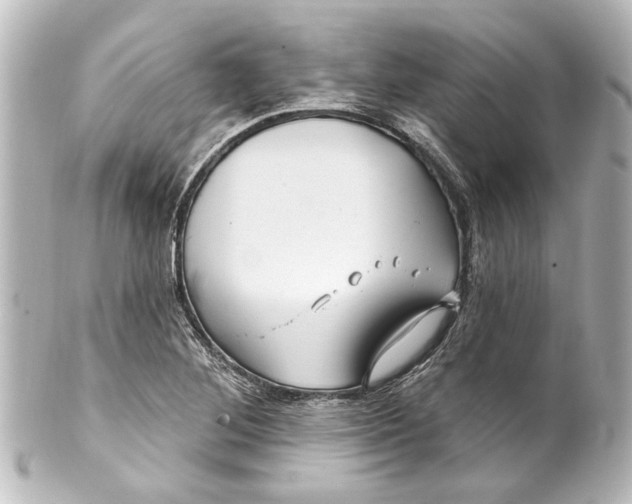 X0000100211268200806271656