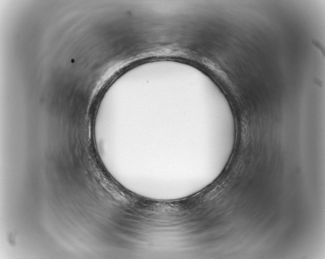 X0000100211270200806271656