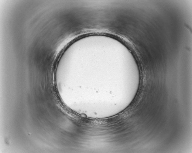 X0000100211271200806271656