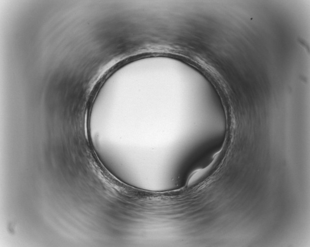 X0000100211272200806271656