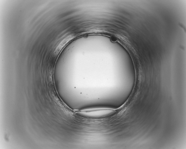 X0000100211273200806271656