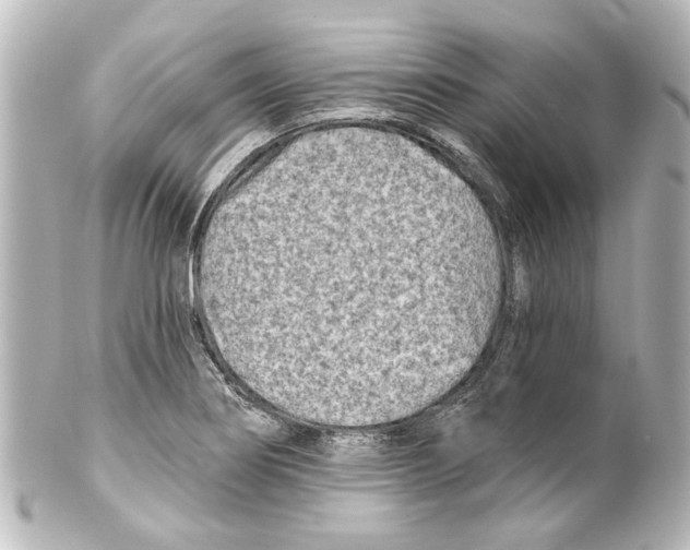 X0000100211274200806271656