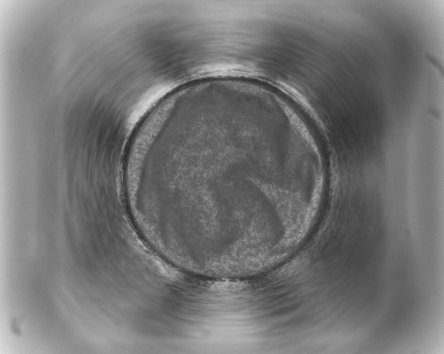 X0000100211277200806271656