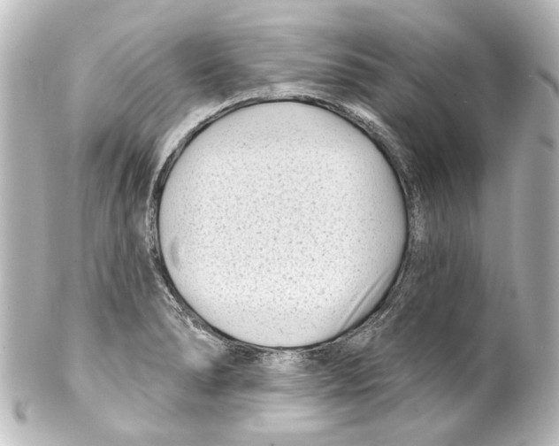 X0000100211278200806271656