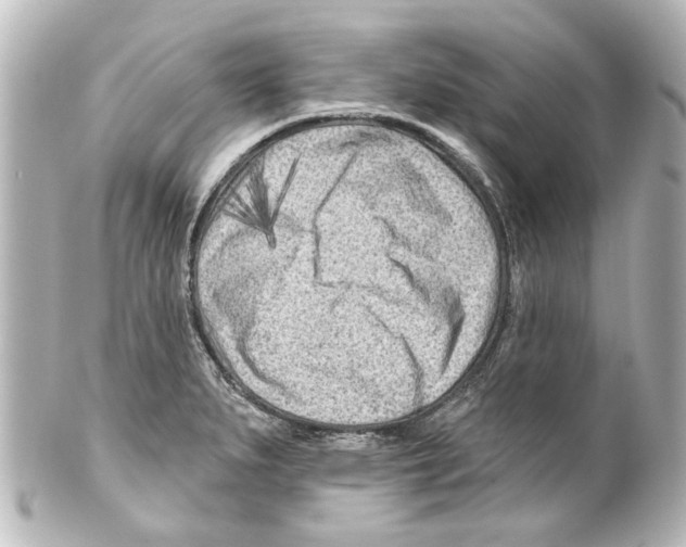 X0000100211279200806271656