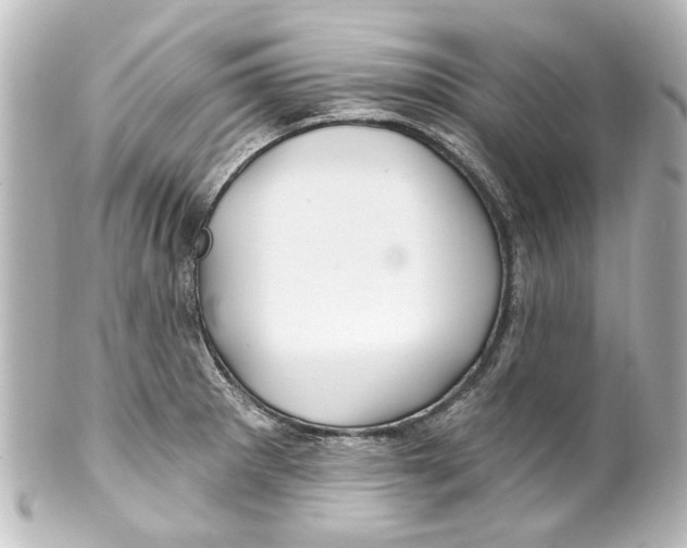 X0000100211281200806271656