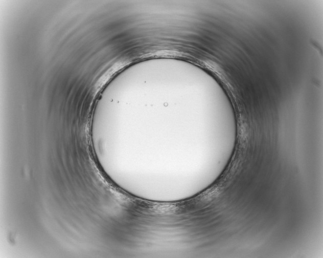 X0000100211282200806271656
