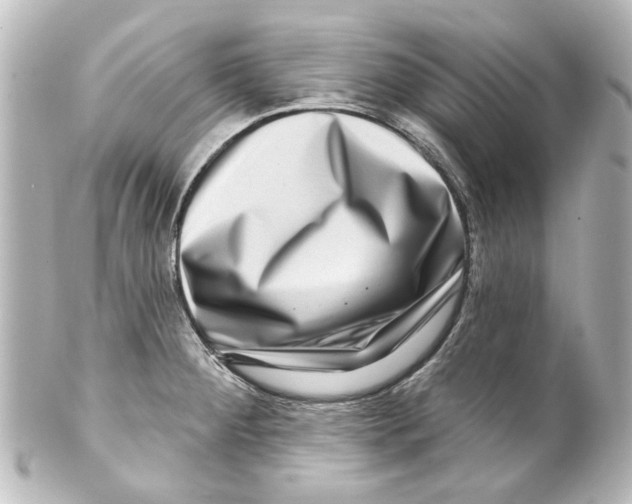 X0000100211284200806271656