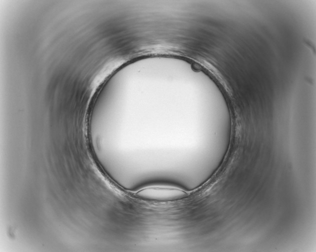 X0000100211285200806271656