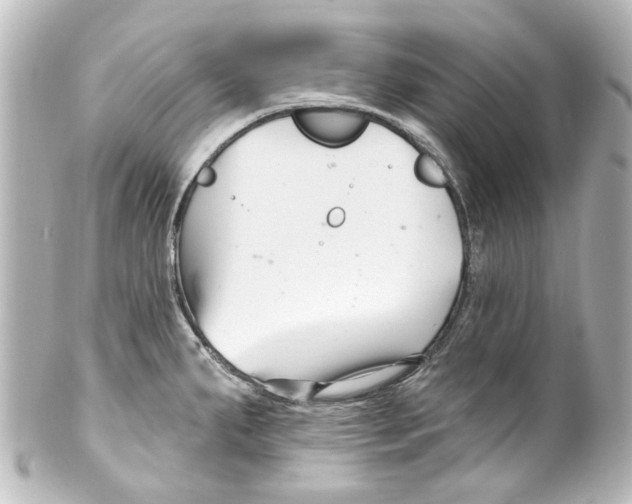 X0000100211287200806271656