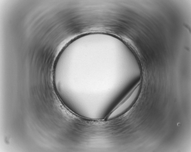X0000100211288200806271656
