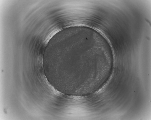 X0000100211289200806271656