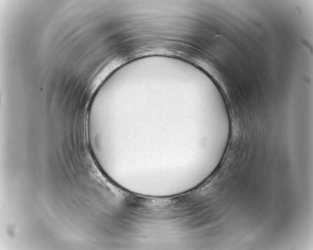 X0000100211290200806271656