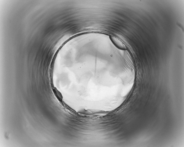 X0000100211291200806271656