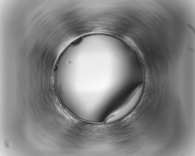 X0000100211292200806271656