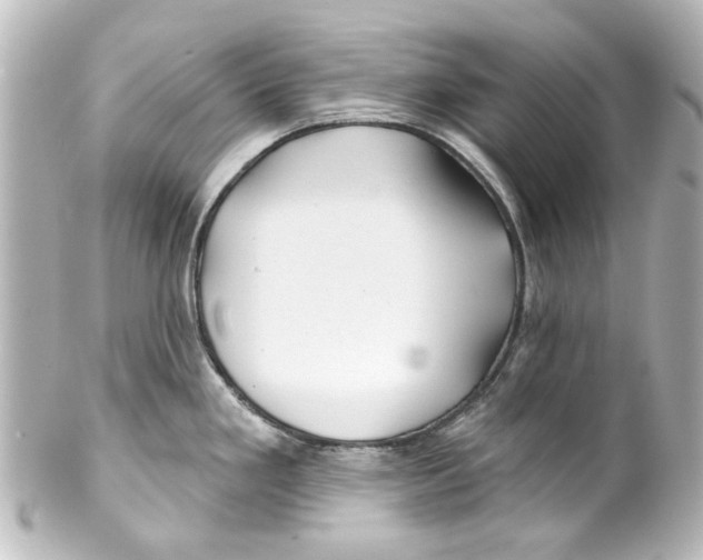X0000100211293200806271656