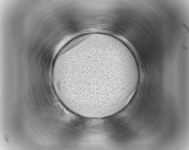 X0000100211294200806271656