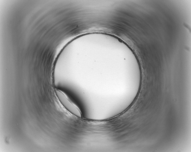 X0000100211296200806271656