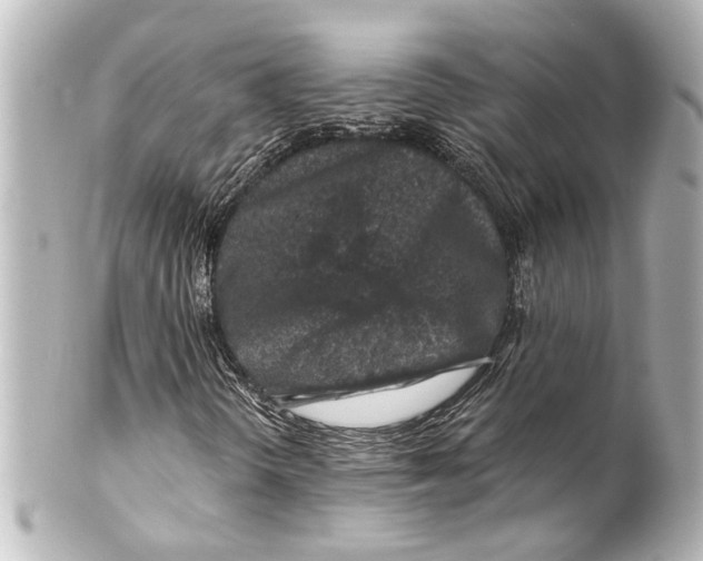 X0000100211298200806271655