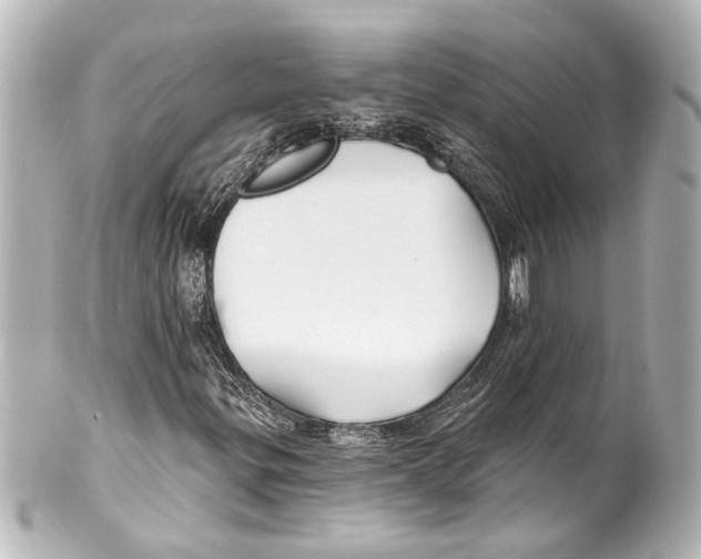 X0000100211299200806271655